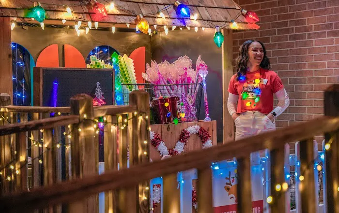 The Christmas Train Picture 3