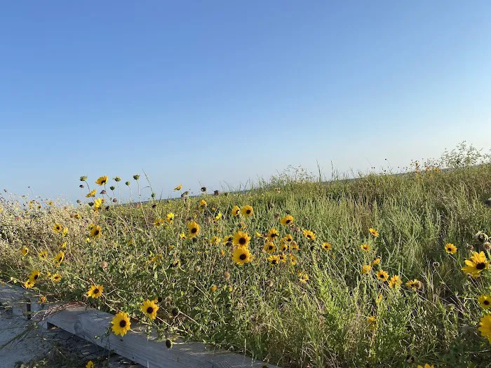 Galveston Island State Park Campgrounds Picture 2