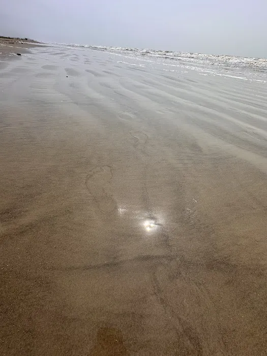 Galveston Island State Park Campgrounds Picture 6