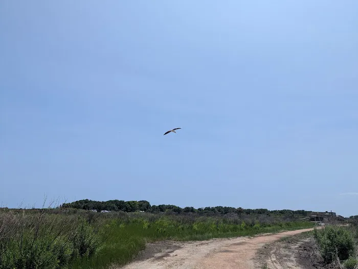 Galveston Island State Park Campgrounds Picture 4