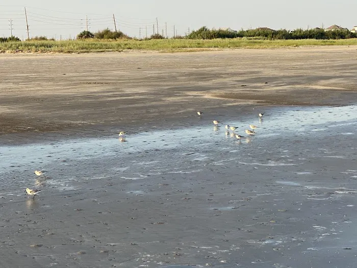 Galveston Island State Park Campgrounds Picture 3