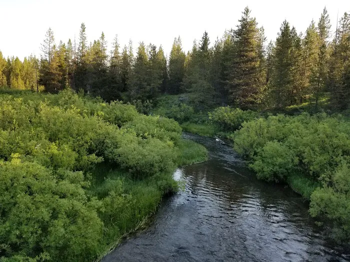Pole Bridge Campground Picture 2