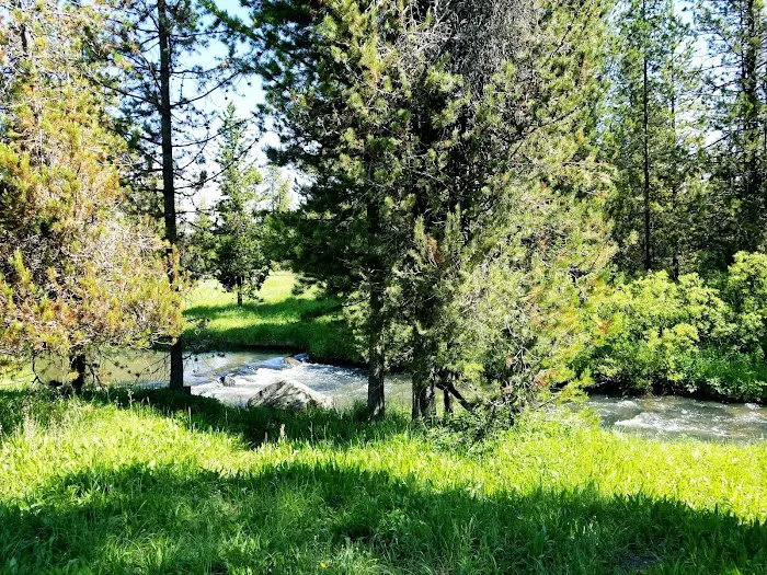 Pole Bridge Campground Picture 6