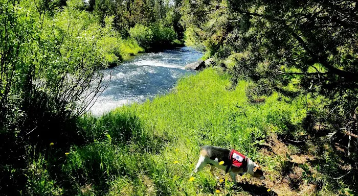 Pole Bridge Campground Picture 3