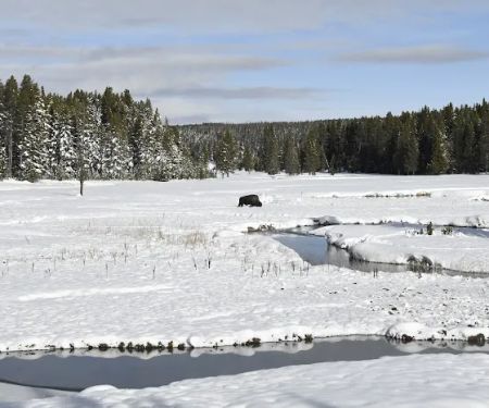Norris Meadows 4F1