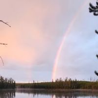 Ice Lake North ico