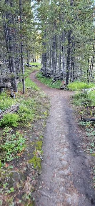 Ice Lake North Picture 10