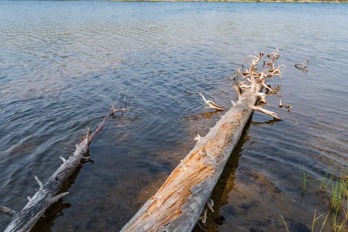 Ice Lake South Picture 1