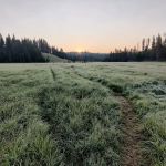 Wolf Lake 4G7