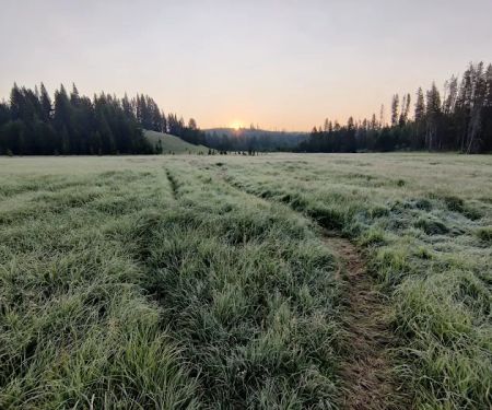 Wolf Lake 4G7