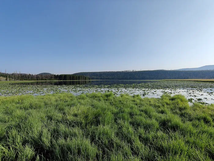 Wolf Lake 4G7 Picture 3