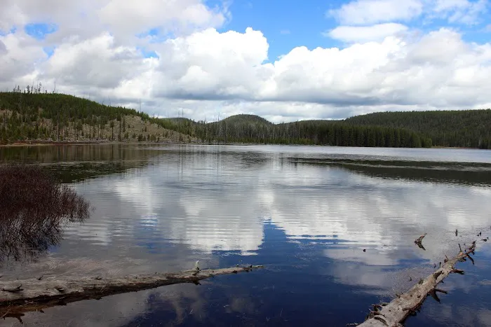 Wolf Lake 4G7 Picture 10