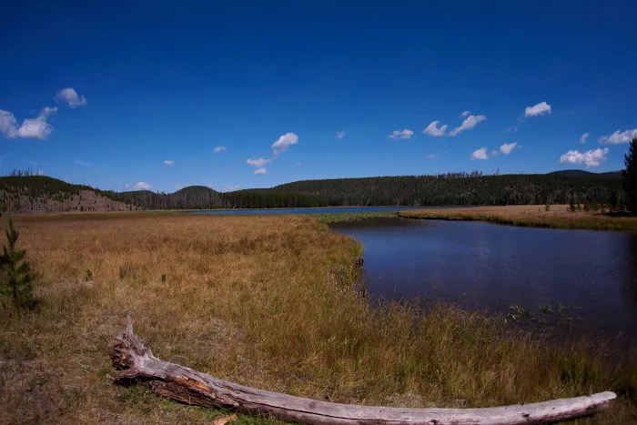 Wolf Lake 4G7 Picture 8