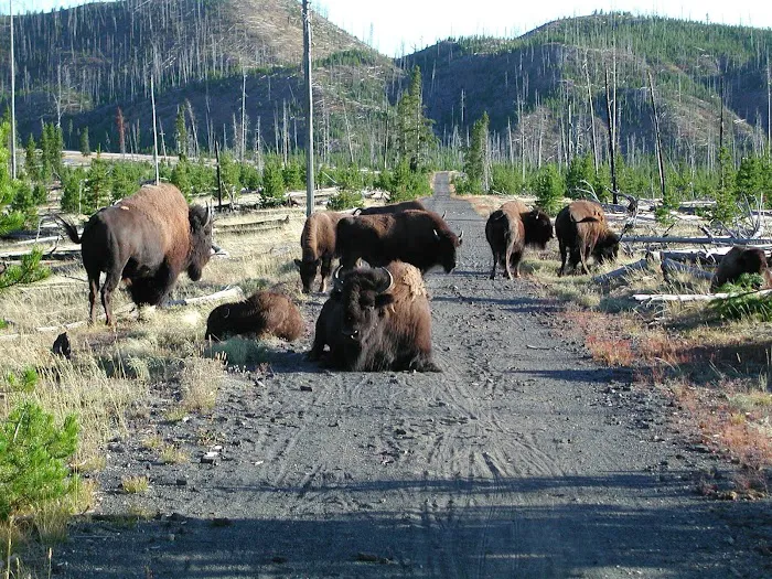 Goose Lake OD5 Picture 3