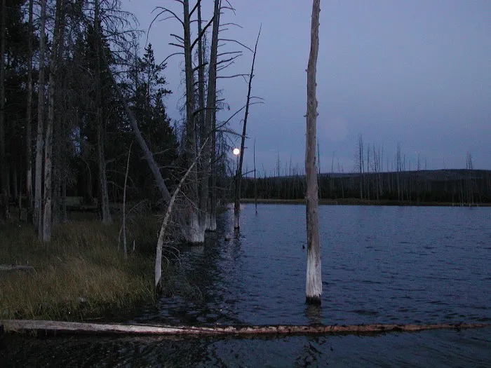 Goose Lake OD5 Picture 4