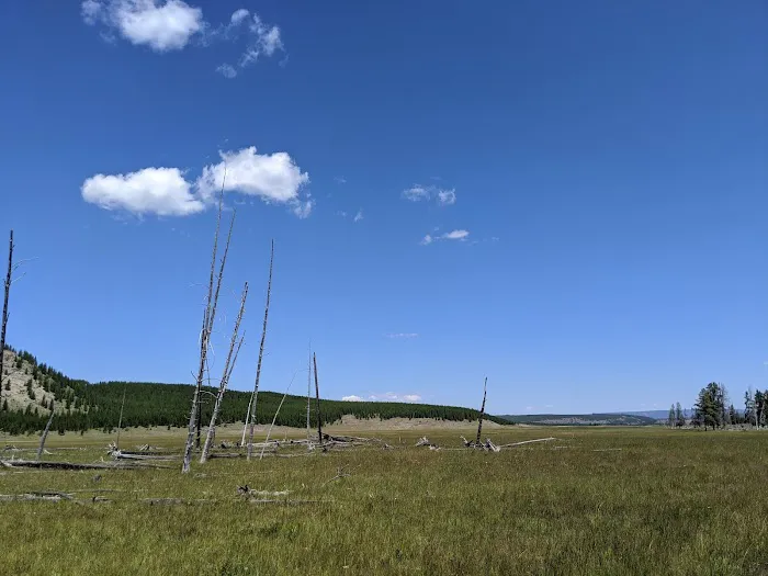 Imperial Meadows Campground Picture 3
