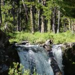 Firehole Falls Campground