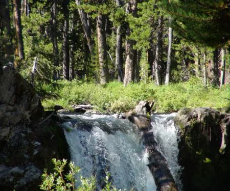 Firehole Falls Campground