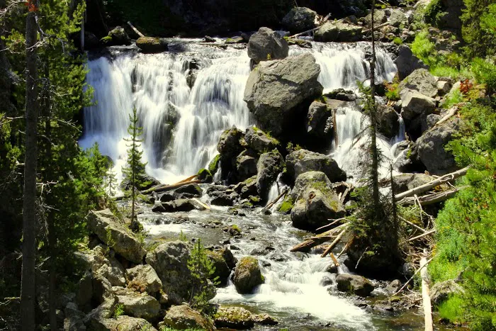 Firehole Falls Campground Picture 2