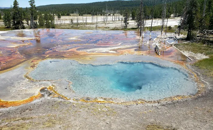 Firehole Springs Picture 2