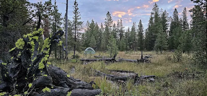Firehole Springs Picture 7