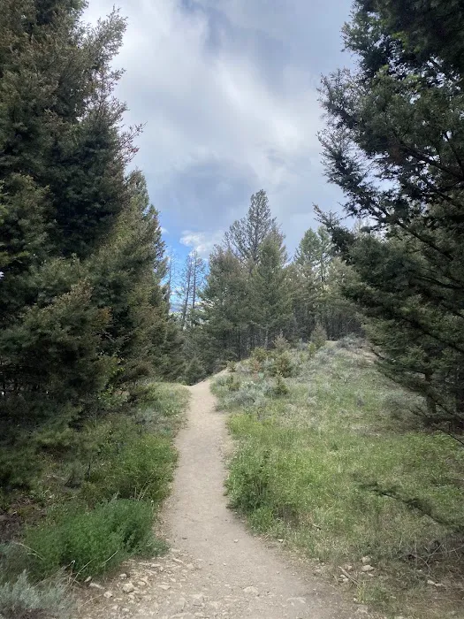 Hellroaring Creek 2h3 Picture 6