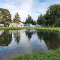 Spring Creek Campground and Trout Ranch ico