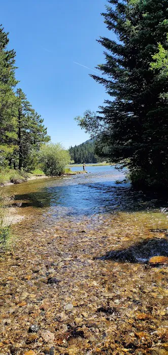 Emerald Lake Campground Picture 3