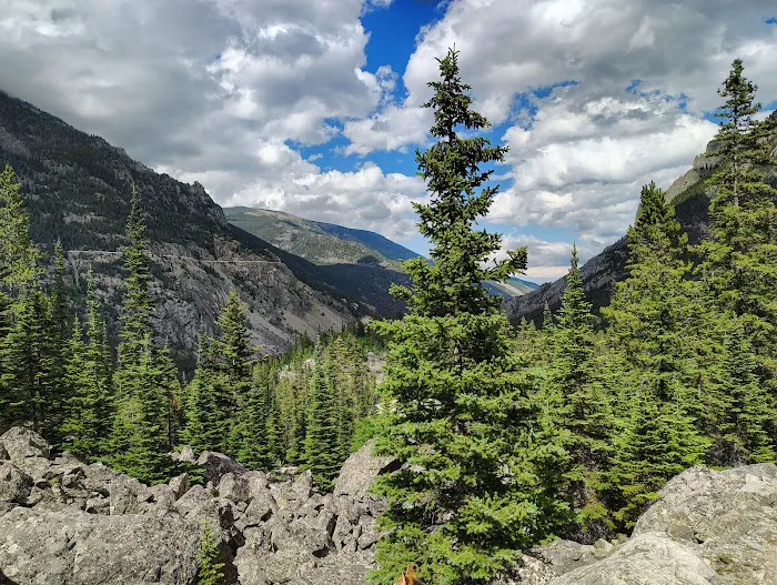 Emerald Lake Campground Picture 7