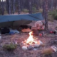 Pine Grove Campground ico