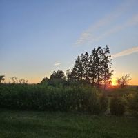 Kiwanis Club Campground ico