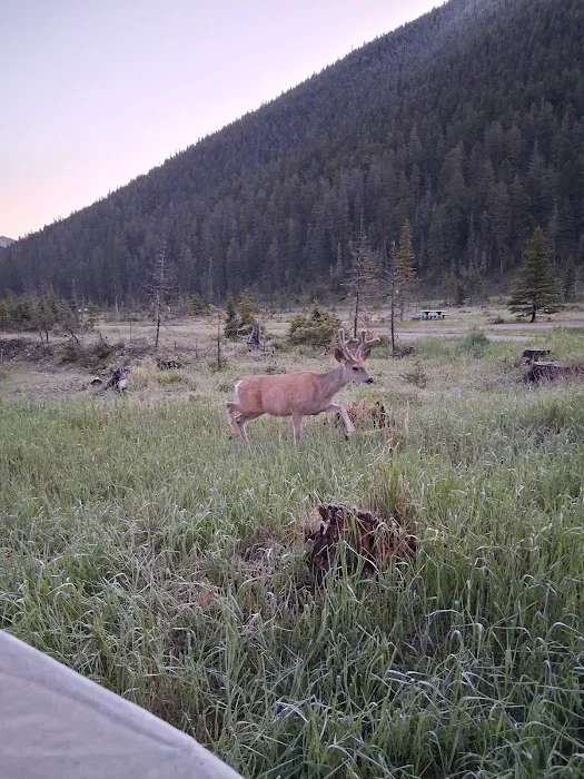 Crystal Lake Campground Picture 1
