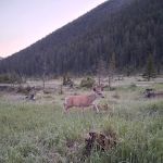 Crystal Lake Campground