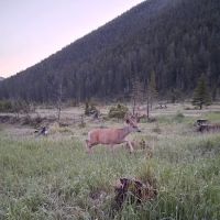 Crystal Lake Campground ico