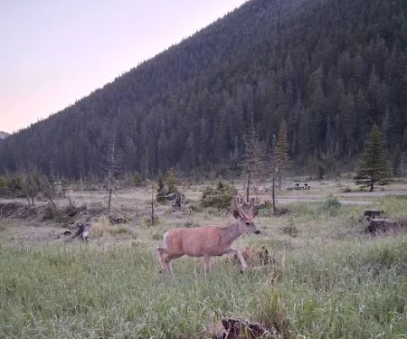 Crystal Lake Campground