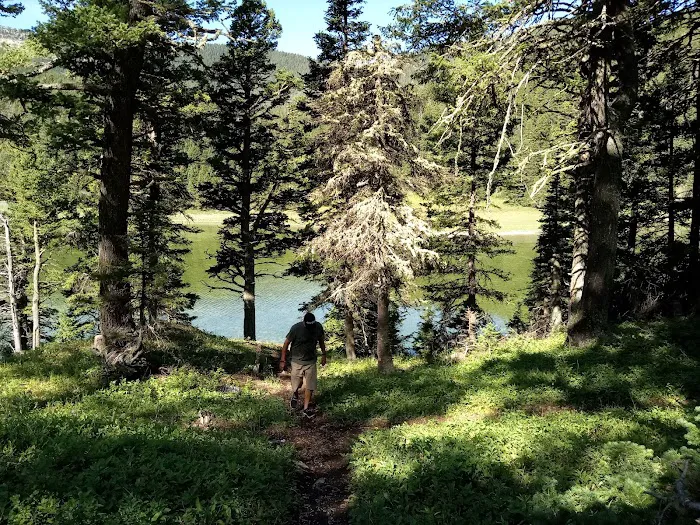 Crystal Lake Campground Picture 7
