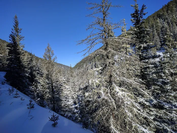 The Big and Little Snowy Mountain Range Picture 8