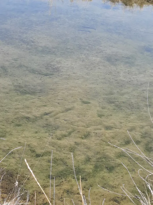 Hayspur Campground Picture 2