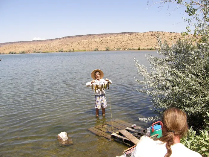 Cove Arm Campground Picture 1