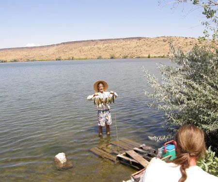 Cove Arm Campground