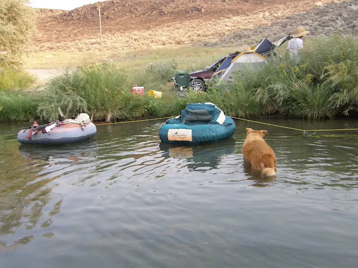 Cove Arm Campground Picture 3