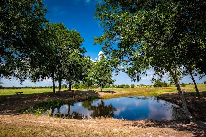 Thousand Trails Lake Tawakoni Picture 1