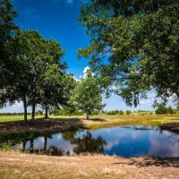 Thousand Trails Lake Tawakoni ico
