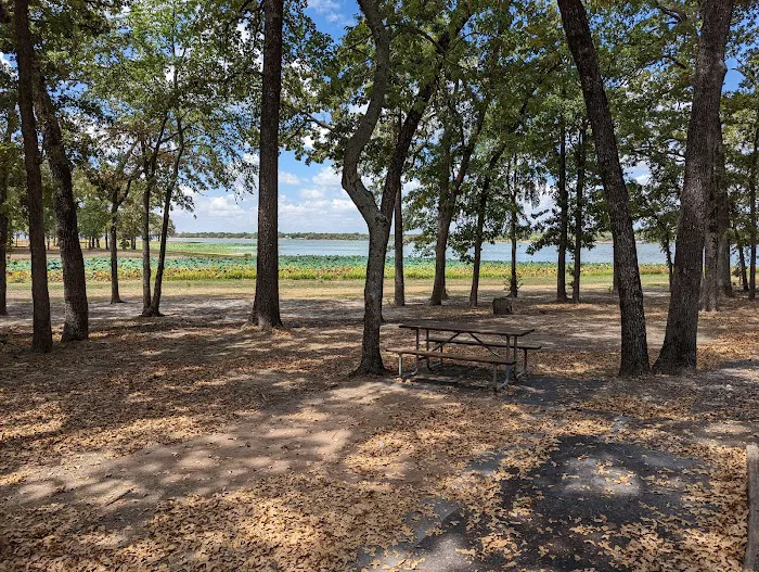Thousand Trails Lake Tawakoni Picture 10
