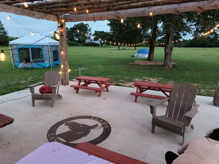 Llamaland Tent Camping Picture 10