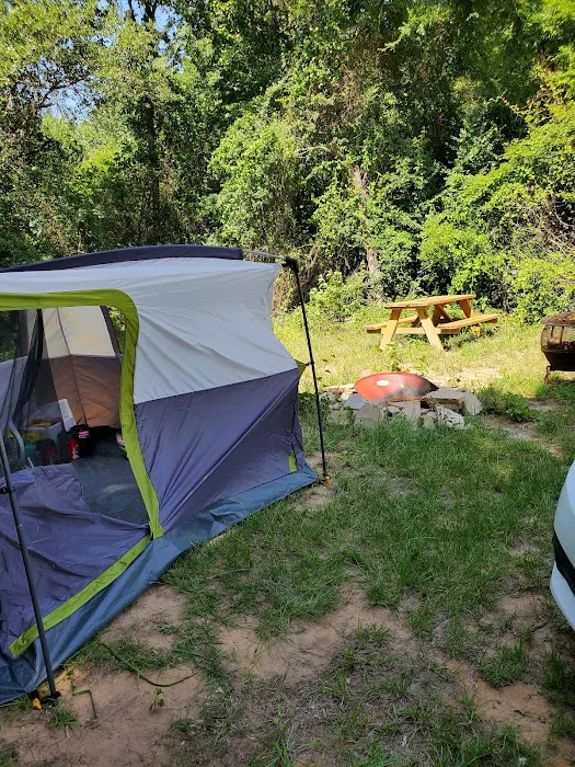 Llamaland Tent Camping Picture 8