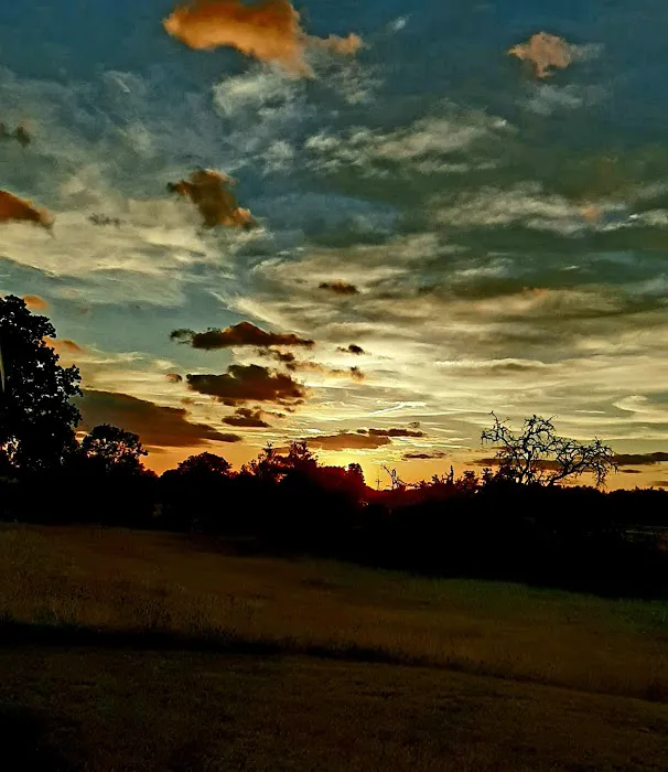 Red Oak Ranch Picture 4