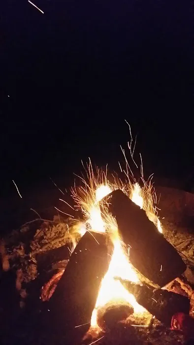 Grizzly Pines - Gay Campground Picture 9