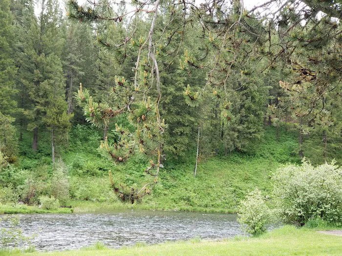 Warm River Campground Picture 6