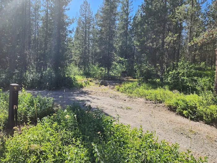 Cave Falls Campground Picture 3